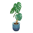 ftrplantmonstera_remake_4_0.png