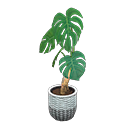 ftrplantmonstera_remake_5_0.png