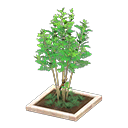 ftrpottedplant_remake_1_0.png