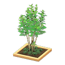 ftrpottedplant_remake_2_0.png
