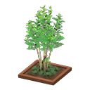ftrpottedplant_remake_3_0.png