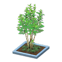 ftrpottedplant_remake_4_0.png