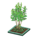 ftrpottedplant_remake_5_0.png