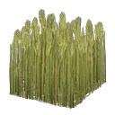 ftrwheatfield_remake_2_0.png