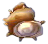 turbanschnecke.png