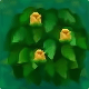 animal crossing new leaf hibiscus animal crossing new leaf hibiscus