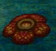 Rafflesia