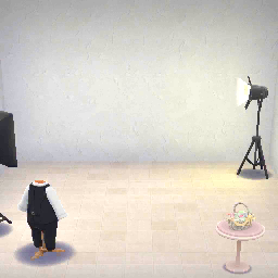Atelier photo 2