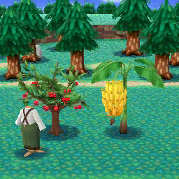 Frutta tropicale