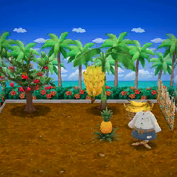 Frutta tropicale 2