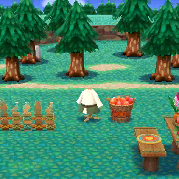 Frutta tropicale 3