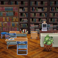 Schulbibliothek 2