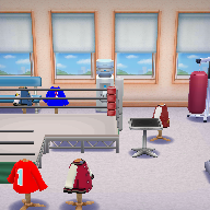 Boxing Gym 2