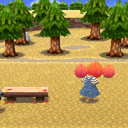 秋色落葉公園2