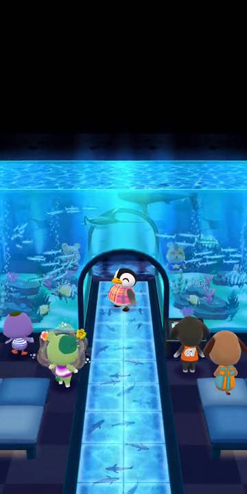 aquarium-abenteuer.jpg