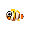 anemonenfisch.png