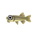 knabberfisch.png
