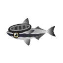 remora.png