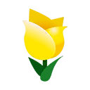 tulpe-gelb.png