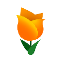tulpe-orange.png
