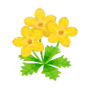 gelb-butterblumen.png