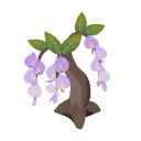 lila-glyzinie.png