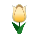 gelb-lenztulpe.png