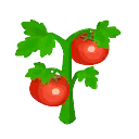 tomaten.png
