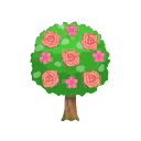 rosa-rundbusch.png