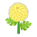 gelb-chrysanthemen.png