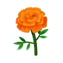 orange-ringelblumen.png