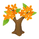 orange-oelbaeumchen.png