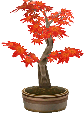 ahorn-bonsai.png