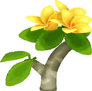 gelb-frangipani.png