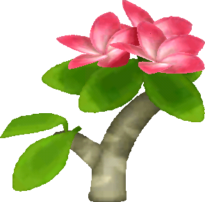pink-frangipani.png