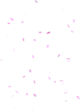 kirschblueten-konfetti.png