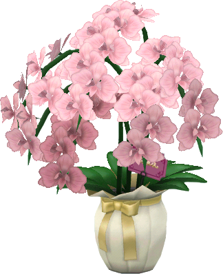 rosa-orchideenstrauss.png