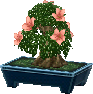azaleen-bonsai.png