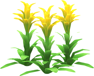 gelb-guzmania.png