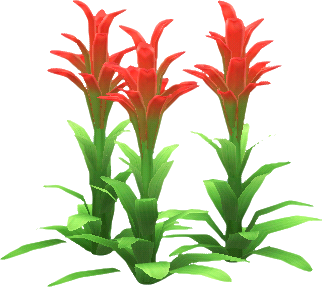 rot-guzmania_pflanze_.png