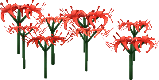 rot-spinnenlilien.png