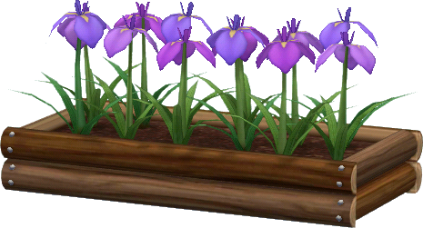 iris-blumenbeet_a.png