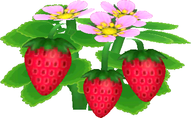 rot-erdbeere.png