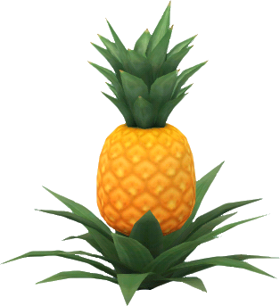 ananaspflanze.png