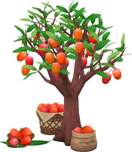 mangobaum.png