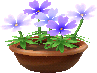 violett-moosblueten_topfpflanze_.png