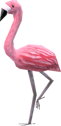 mr._flamingo.png