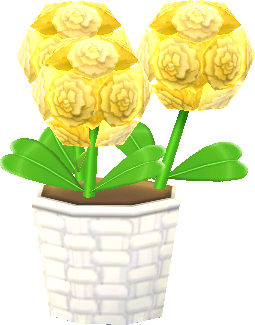 gelb-liebesblumen_topfpflanze_.png