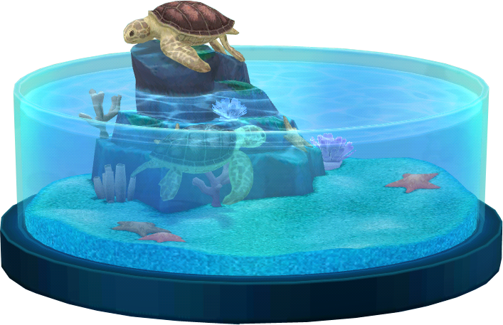 schildkroetenbecken.png