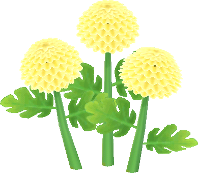 gelb-chrysanthemen.png